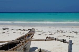 Top 10 Things to Do in Zanzibar Island