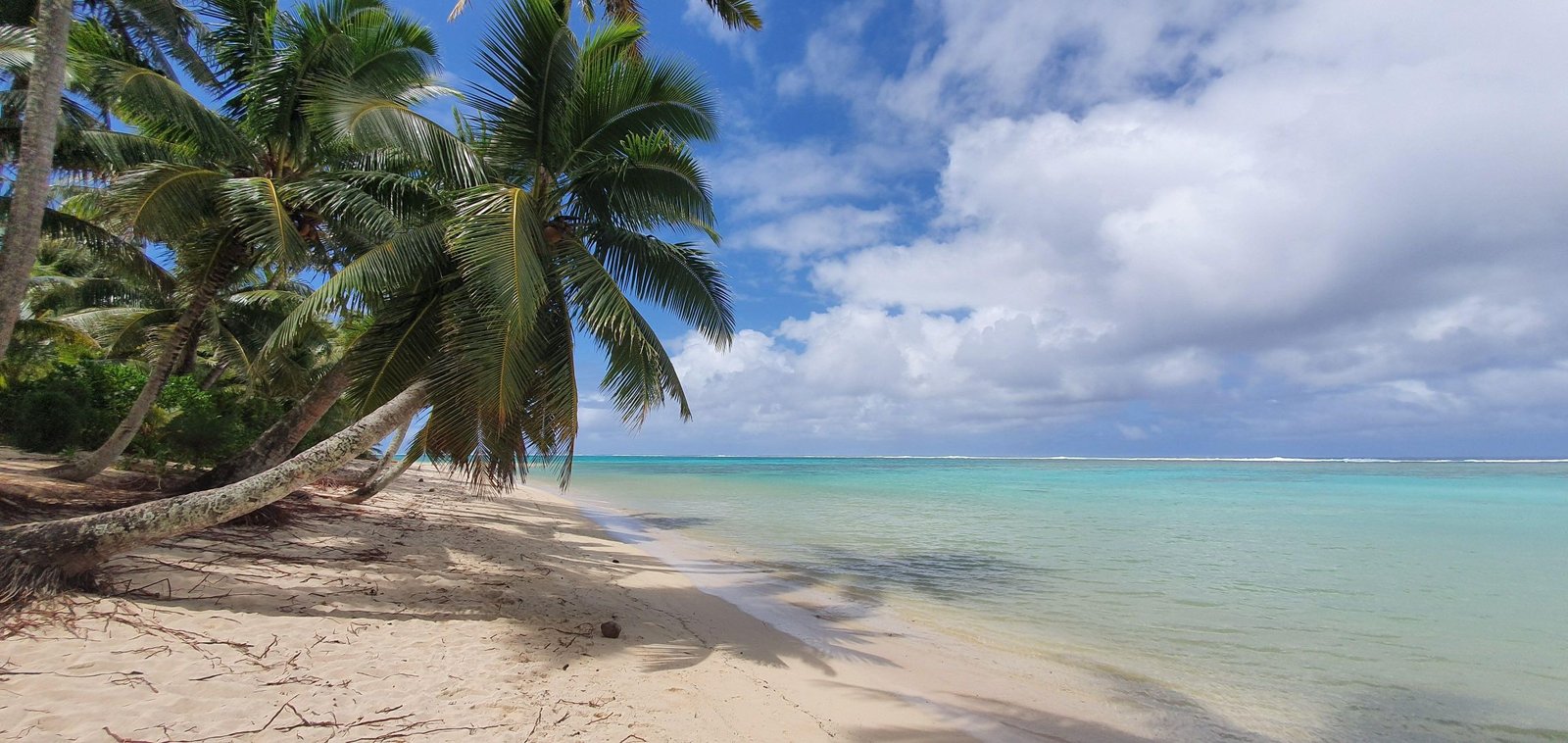 Rarotonga ¿Cuáles son las mejores atracciones  locales?
