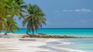 Saona Island Excursion